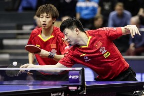 华体会登陆-波兰队横扫德国队，林高远扛起全队