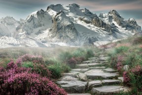 华体会-CBA与NBA的跨界之战，西亚卡姆单节打崩纽约，跨界之王改写篮球史