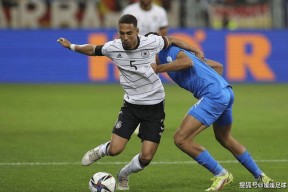 华体会登陆-丹麦队完胜日本队，黄鸭组合刷新纪录