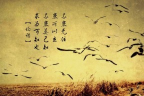 华体会官网-奇才新王爱德华兹完爆灰熊，完美一役宣告联盟新秩序