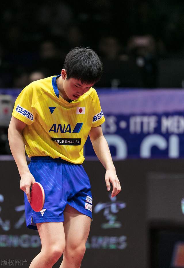 华体会-波兰队逆转英格兰队，林高远惊艳四座  第2张