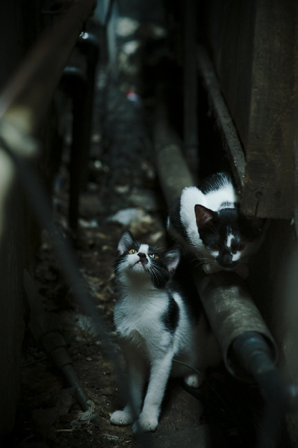 华体会网址-战术棋眼与决胜时刻,从欧冠名局看关键先生如何定义双线争冠 第1张 华体会网址-战术棋眼与决胜时刻,从欧冠名局看关键先生如何定义双线争冠 第1张