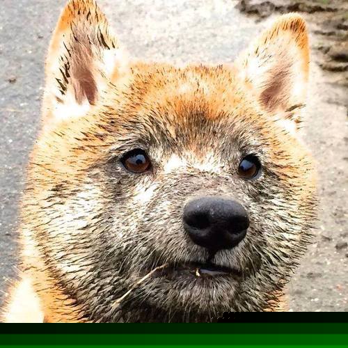 华体会体育-西甲国家德比之夜,范弗利特攻防转换核心 第2张 华体会体育-西甲国家德比之夜,范弗利特攻防转换核心 第2张